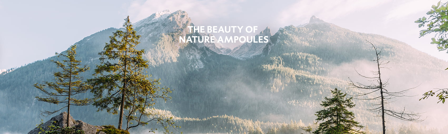 Dr. Spiller - Beauty of nature ampoules